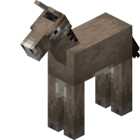 Donkey (Baby) pet