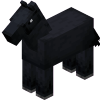 Horse: Black pet