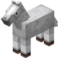 Horse: White pet